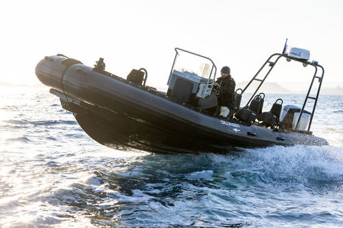 Patrouillenboot Berufsschiff - 765 PRORAID  - Sillinger - Rettungsboot / Taucherbasisboot / Hafenservice-Boot