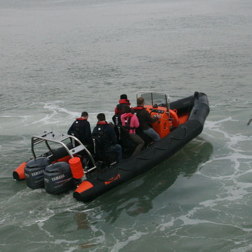 Nutzfahrzeug Berufsschiff - RIBCRAFT 6.8 - RIBCRAFT - Außenborder / Festrumpf-Schlauchboot