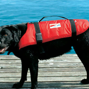 Schwimmweste für Haustiere - CAT + DOG - Grabner GMBH, Austria - Wassersport / Schaumstoff