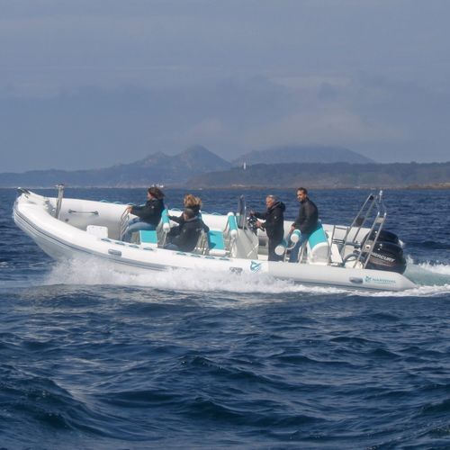 Ausflugsboot Berufsschiff - SP-800  - Narwhal - Taucherbasisboot / Außenborder / Festrumpf-Schlauchboot