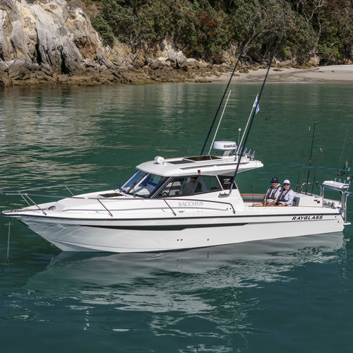 Cabin-Cruiser / Außenborder - 3000 - Rayglass Boats - Innenborder / mit Steuerhaus / Sportfischer