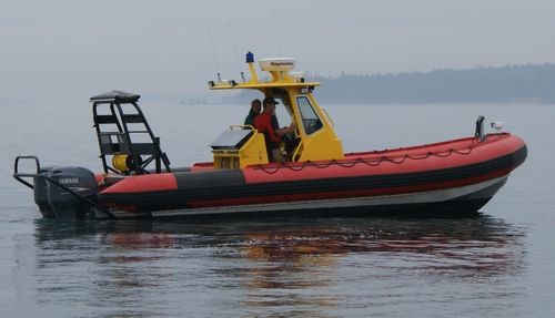 Rettungsboot Berufsschiff - TITAN T249XL - Titan - Außenborder / Festrumpf-Schlauchboot