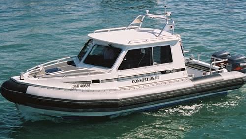 Hafenboot Berufsschiff - T249XL CABIN - Titan - Außenborder / Festrumpf-Schlauchboot