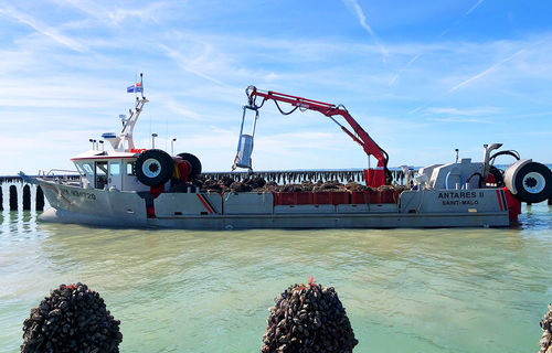 Berufsschiff / Berufsschiff für Fischerei - ANTARES - Chantier Naval Delavergne - Innenborder / Aluminium / Festrumpf