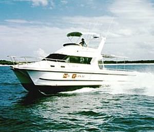 Express-Cruiser / Katamaran - 3500 - Noosa Cat Australia - Außenborder / zweimotorig / Flybridge