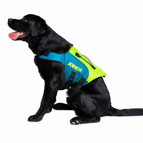 Wassersport-Schwimmweste - Lime Teal - Jobe Sports - für Haustiere / Schaumstoff
