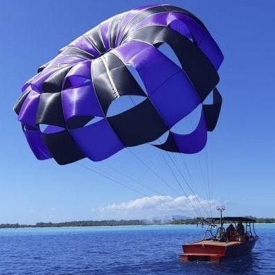 Parasailing-Fallschirm / 1-4er - Super Trade 44 - WATERBIRD PARAKITES