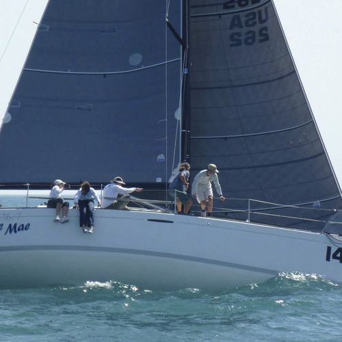 Großsegel - BENETEAU FIRST 36.7 - Doyle - Vorsegel / für One-Design Segelboote
