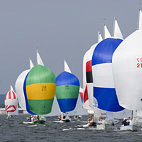 Spinnaker - SHIELDS  - Quantum Sails - für One-Design Segelboote / cross-cut