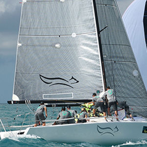 Fock -  FUSION M  - Quantum Sails - für One-Design Regatta Kielboote / Carbon / Melges 32