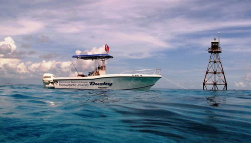 Außenborder-Konsolenboot - 252  - Dusky Marine - Sportfischer / T-Top
