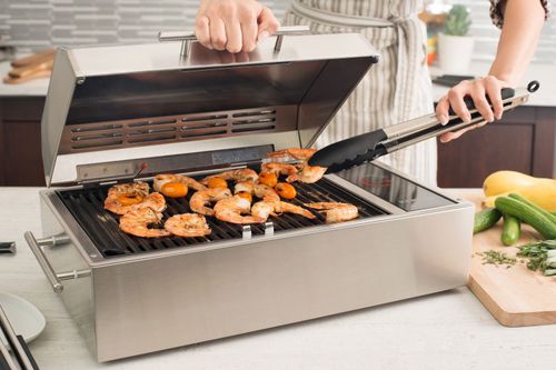 Elektrische Bootsgrill - FRONTIER - Kenyon International, Inc.