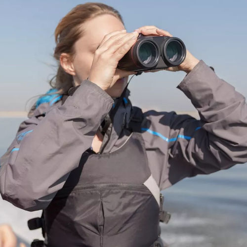 Wasserdichtes Fernglas - L IS WP - Canon Binocular - 10x42