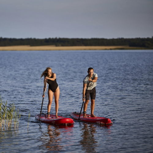 Windsurfboard für Anfänger - Fly Air - Fanatic - Allround