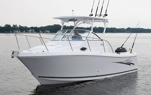 Cabin-Cruiser / Außenborder - 23 EXPRESS - Pro Line Boats - Hardtop / Sportfischer / T-Top