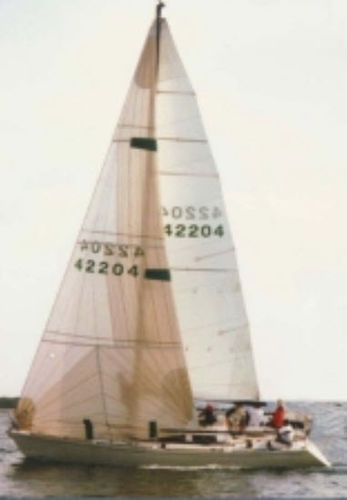 Großsegel - Neilpryde Sails - Vorsegel / für Rennsegelboote / Triradial-Schnitt