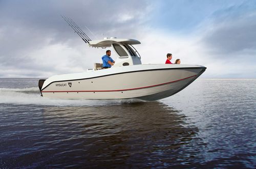 Cabin-Cruiser / Katamaran - 25′ Sport Fisher  - Hysucat - Außenborder / zweimotorig / Hardtop