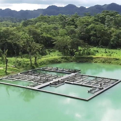 Schwimmende Plattform - Aquaculture - CANDOCK - für Aquakultur