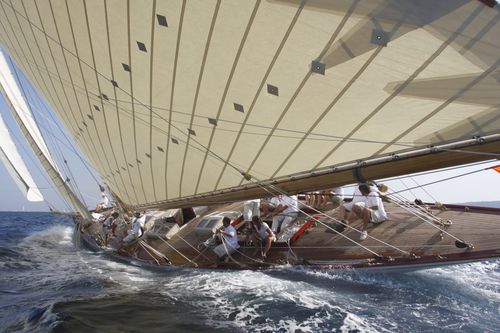 Gewebtes Segeltuch - FIBERCON® TRADITIONAL - Contender BV - Regatta