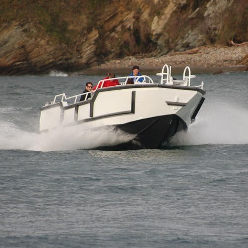 Arbeitsboot Berufsschiff - 900 TENDER - MOGGARO ALUMINIUM YACHTS - Sternantrieb / Diesel / Aluminium