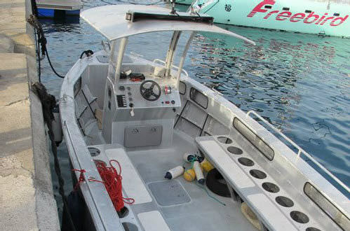 Taucherbasisboot Berufsschiff - 900JET  - MOGGARO ALUMINIUM YACHTS - Innenborder / Aluminium