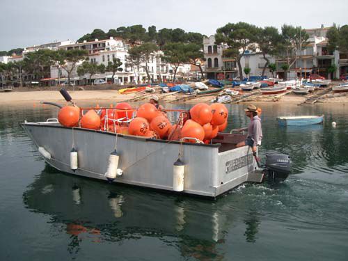 Arbeitsboot Berufsschiff - 750 TRABAJO - MOGGARO ALUMINIUM YACHTS - Außenborder / Aluminium