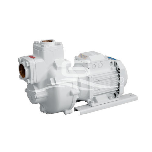 Pumpe für Boot - BMA-G - GIANNESCHI PUMPS & BLOWERS - Transfer / für Grauwasser / Impeller