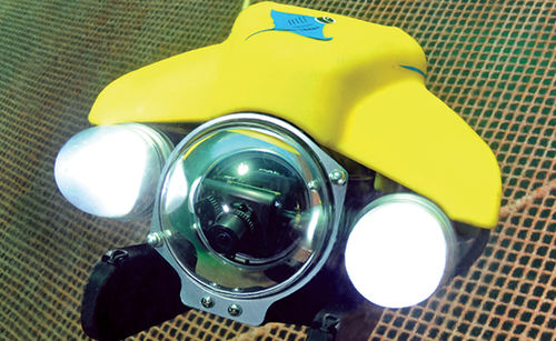 Unterwasser-ROV / für Arbeitseinsätze - Pro 4 IP65 BASE - VideoRay - zur Inspektion von Fischkäfigen / für Aquakultur