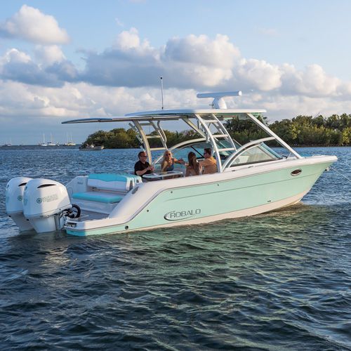 Außenborder-Runabout - R317  - Robalo - zweimotorig / Bowrider / mit Doppelkonsole