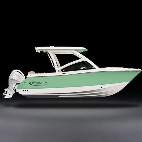 Außenborder-Konsolenboot - R237 - Robalo - Benzin / mit Doppelkonsole / Bowrider