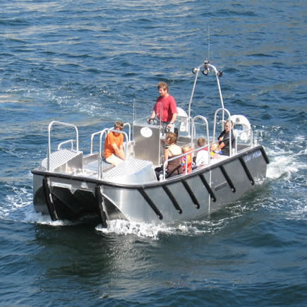 Taxiboot Berufsschiff - ALN 093 ‘Clan Albain’ - Alnmaritec - Katamaran / Außenborder / Aluminium