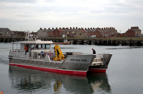 Boot für Aquakulturen Berufsschiff - ALN 135 ‘Shelagh Jane’ - Alnmaritec - Katamaran