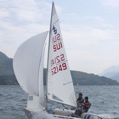 Großsegel - Ullman Sails - für Jolle / Radial-Schnitt / Dacron®
