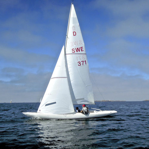 Fock - Ullman Sails - für One-Design Regatta Kielboote / Dragon