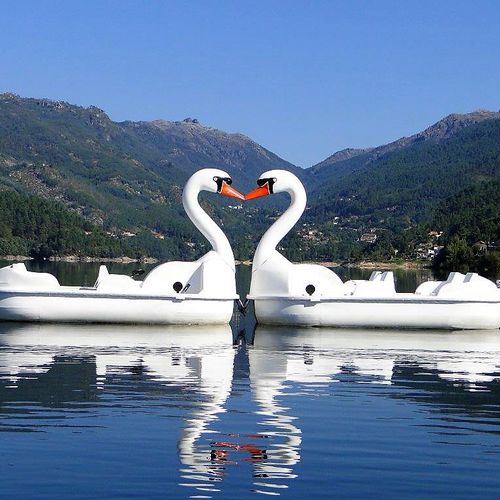 Tretboot / 4 Plätze - GRAN CISNE - AVENTURAS AQUATICAS - LA NORIA - für gewerbliche Nutzung / für Mietunternehmen / wartungsfrei