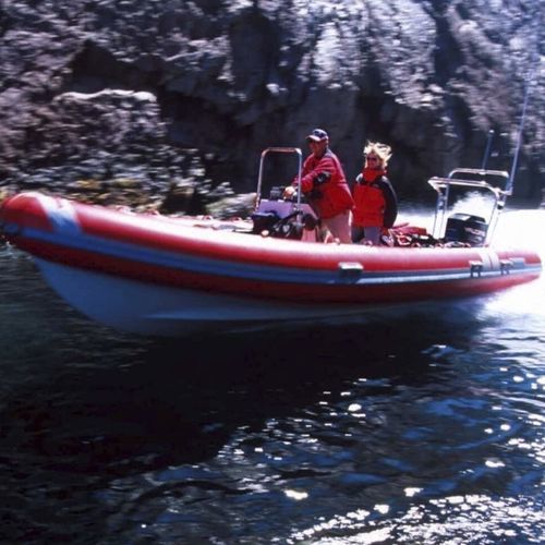 Rettungsboot Berufsschiff - GM 5.4 - NORTHSTAR RIBs - Außenborder / Festrumpf-Schlauchboot / offenes Boot