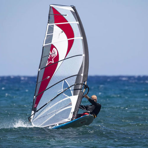 Windsurf-Segel / Race - LION3 - Ezzy Sails 2 - 6 Segellatten / 7 Segellatten