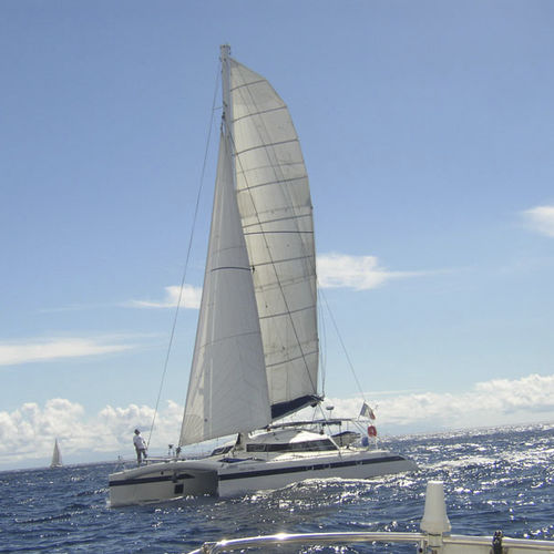 Katamaran - FREYDIS 49' - Tournier Marine - Hochseefahrten / mit Carbonmast / Saildrive