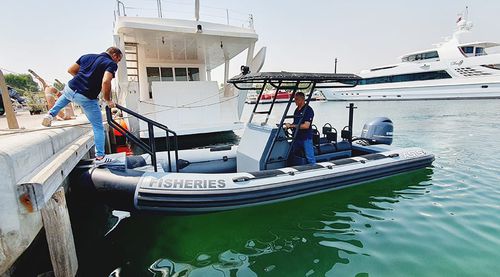 Berufsschiff / Berufsschiff für Fischerei - 7 M Full Tube - ASIS BOATS - Außenborder / Aluminium / halbstarr