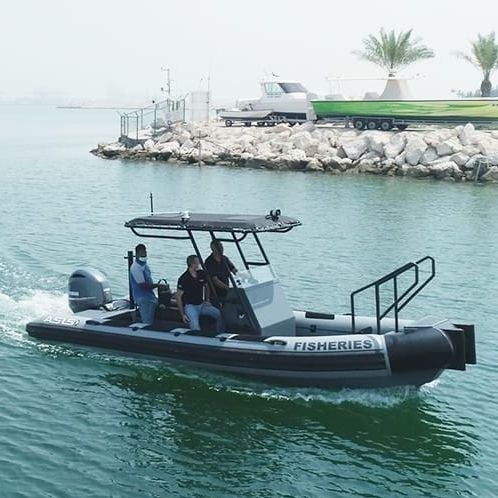 Patrouillenboot Berufsschiff - 7. M D-Tube - ASIS BOATS - Berufsschiff für Fischerei / Außenborder / Aluminium