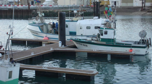 Schwimmponton - ATLANTIC MARINE - modular / Anker / für die Fischerei