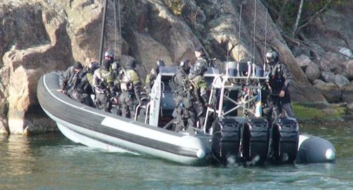 Außenborder-Berufsschiff - Cougar C11 - Griffon Hoverwork - Festrumpf-Schlauchboot
