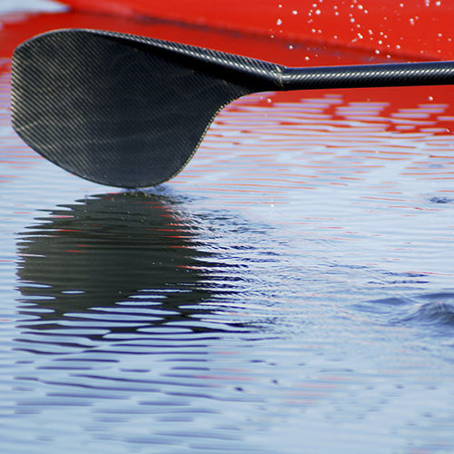Ruder für Skiffs - APEX-REX  - Durham Boat Company - Carbon