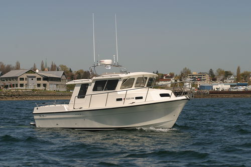 Cabin-Cruiser / Innenborder - OFFSHORE 3000 - Sea Sport, Inc - Hardtop / Sportfischer / 4 Kojen