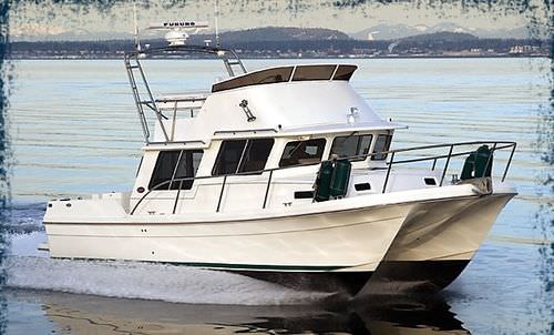 Express-Cruiser / Katamaran - PACIFIC 3200 - Sea Sport, Inc - Innenborder / Flybridge / 6 Kojen