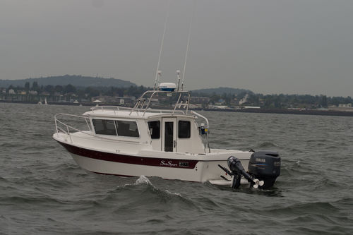 Cabin-Cruiser / Außenborder - SPORTSMAN 2200 - Sea Sport, Inc - Hardtop / Sportfischer / 4 Kojen