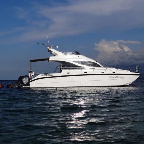 Katamaran-Motoryacht - Sea Menace - North Sea Boats - schnell / Flybridge