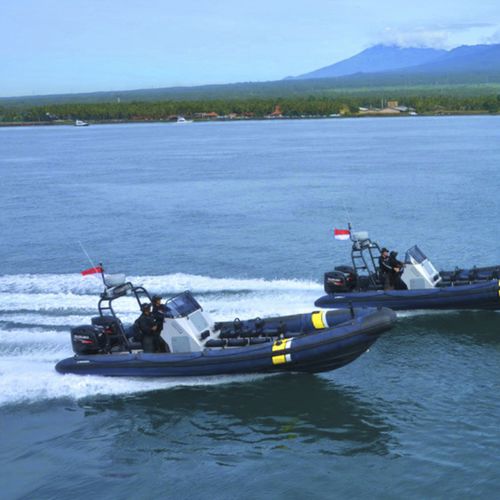 Patrouillenboot Berufsschiff - X8.5 - North Sea Boats - Nutzfahrzeug / Innenborder / Außenborder