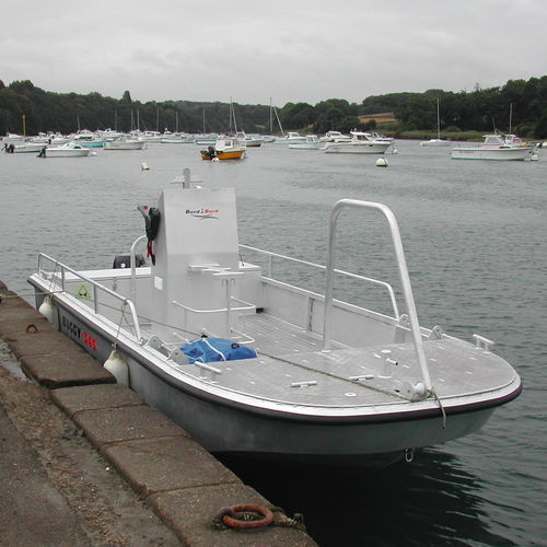 Hafenservice-Boot Berufsschiff - BUGGY 545  - BORD A BORD - Nutzfahrzeug / Außenborder / Aluminium