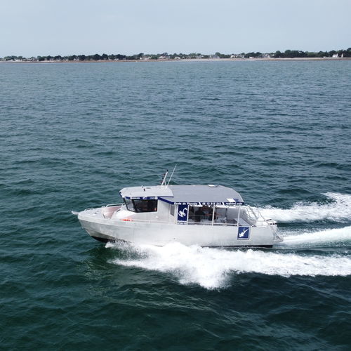 Taucherbasisboot Berufsschiff - DERVINIS 1200 PLONGEE - BORD A BORD - Innenborder / Außenborder / Aluminium